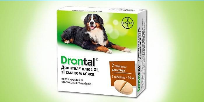 Drontal tabletes