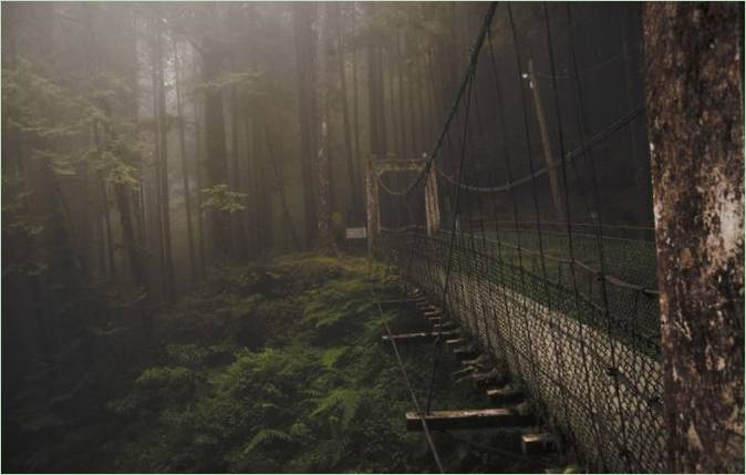 Meža tilts Taivānā